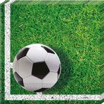 Fussball Party 20 Servietten