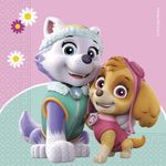 Paw Patrol Skye & Everest 20 Servietten