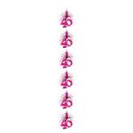 Kaskade 40. Geburtstag "Pink Shimmer"
