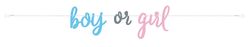 16072-Baby-Shower-Boy-or-Girl-Girlande.jpg 16072-Baby-Shower-Boy-or-Girl-Girlande.jpg
