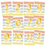 12 Baby Monatskarten 1. Geburtstag