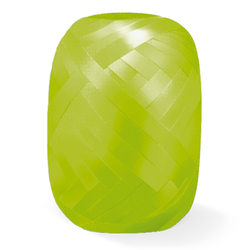 22251-Geschenkband---Ringelband-20-m-gruen.png 22251-Geschenkband---Ringelband-20-m-gruen.png