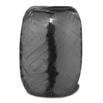 Geschenkband / Ringelband 20 m - schwarz metallic