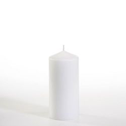 22791-10-Stumpenkerzen----60-mm----130-mm-weiss.jpg 22791-10-Stumpenkerzen----60-mm----130-mm-weiss.jpg