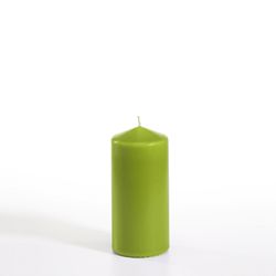 23502-10-Stumpenkerze----50-mm----100-mm-kiwi-gruen.jpg 23502-10-Stumpenkerze----50-mm----100-mm-kiwi-gruen.jpg