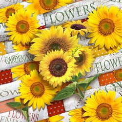 24454-200-Servietten--3-lagig-1-4-Falz-33-cm-x-33-cm-Sunflower-Field--.jpg 24454-200-Servietten--3-lagig-1-4-Falz-33-cm-x-33-cm-Sunflower-Field--.jpg