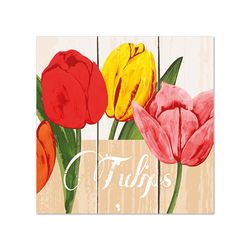 25452-600-Servietten--3-lagig-1-4-Falz-25-cm-x-25-cm-Blooming-Tulips.jpg 25452-600-Servietten--3-lagig-1-4-Falz-25-cm-x-25-cm-Blooming-Tulips.jpg