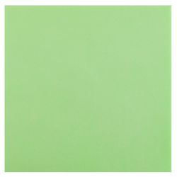 26053-25-grosse-Servietten-mintgruen-Airlaid-40-x-40-cm.jpg 26053-25-grosse-Servietten-mintgruen-Airlaid-40-x-40-cm.jpg