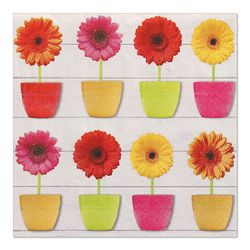 26308-200-Servietten--3-lagig-1-4-Falz-33-cm-x-33-cm-Glowing-Gerberas.jpg 26308-200-Servietten--3-lagig-1-4-Falz-33-cm-x-33-cm-Glowing-Gerberas.jpg