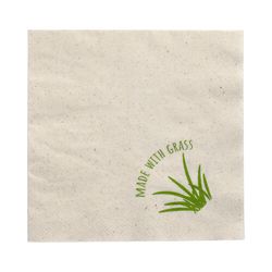 26381-1000-Servietten--2-lagig-1-4-Falz-33-cm-x-33-cm-natur-mit-Grasanteil.jpg 26381-1000-Servietten--2-lagig-1-4-Falz-33-cm-x-33-cm-natur-mit-Grasanteil.jpg