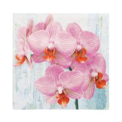 27232-200-Servietten--3-lagig-1-4-Falz-33-cm-x-33-cm--Phalaenopsis-.jpg 27232-200-Servietten--3-lagig-1-4-Falz-33-cm-x-33-cm--Phalaenopsis-.jpg