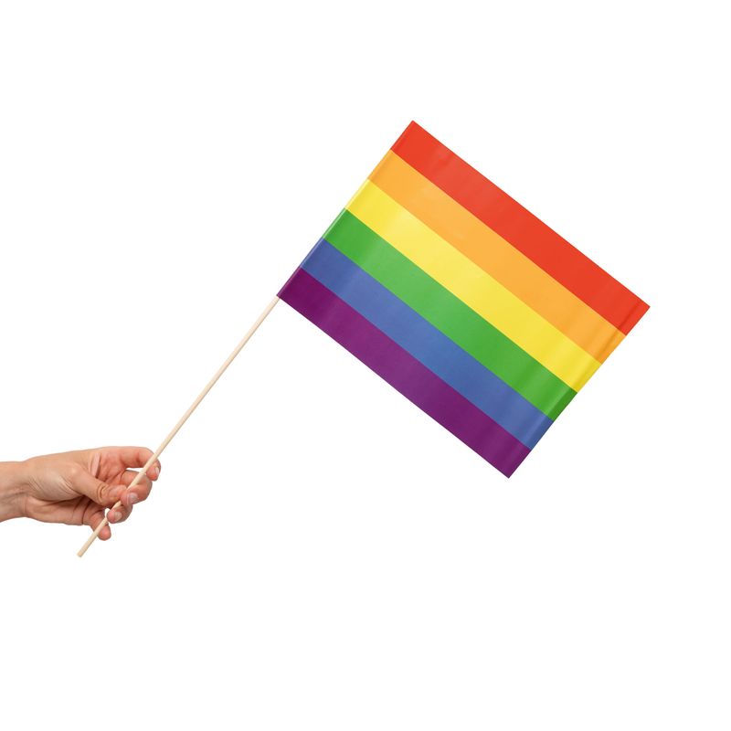 28215-10-Papier-Fahnen-Regenbogen-20-x-30-cm-Handfahnen-Pride-LGBTQ.jpeg 28215-10-Papier-Fahnen-Regenbogen-20-x-30-cm-Handfahnen-Pride-LGBTQ.jpeg