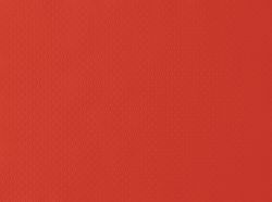 28969-1500-Papier-Tischsets-30-x-40-cm-Rot.jpg 28969-1500-Papier-Tischsets-30-x-40-cm-Rot.jpg