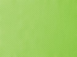 28972-1500-Papier-Tischsets-30-x-40-cm-Kiwi--gruen.jpg 28972-1500-Papier-Tischsets-30-x-40-cm-Kiwi--gruen.jpg