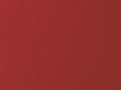 28975-1500-Papier-Tischsets-30-x-40-cm-Bordeaux-rot.jpg 28975-1500-Papier-Tischsets-30-x-40-cm-Bordeaux-rot.jpg