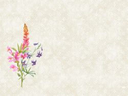 29032-500-Dunicel---Tischsets-30-x-40-cm-Floret.jpg 29032-500-Dunicel---Tischsets-30-x-40-cm-Floret.jpg