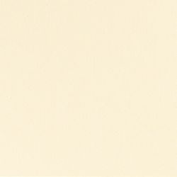 29088-10x-Dunicel---Mitteldecke-84-x-84-cm-Cream.jpg 29088-10x-Dunicel---Mitteldecke-84-x-84-cm-Cream.jpg