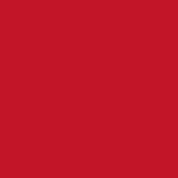 29499-500-Duni-Bio-Tissue-Servietten-33-x-33-cm-Rot-3-lagig.jpg 29499-500-Duni-Bio-Tissue-Servietten-33-x-33-cm-Rot-3-lagig.jpg
