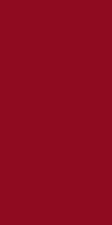 29554-1250-Duni-Tissue-Servietten-40-x-40-cm-Bordeaux-3-lagig--1-8-Falz_1.jpg 29554-1250-Duni-Tissue-Servietten-40-x-40-cm-Bordeaux-3-lagig--1-8-Falz_1.jpg