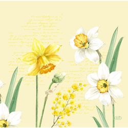 29671-144-Dunisoft---Servietten-40-x-40-cm-Spring-Daffodil.jpg 29671-144-Dunisoft---Servietten-40-x-40-cm-Spring-Daffodil.jpg