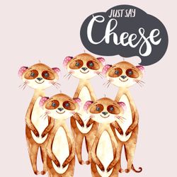 29791-240-Duni-Tissue-Servietten-33-x-33-cm-Say-Cheese-3-lagig.jpg 29791-240-Duni-Tissue-Servietten-33-x-33-cm-Say-Cheese-3-lagig.jpg