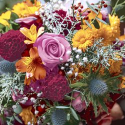 29876-240-Duni-Tissue-Servietten-33-x-33-cm-Meadow-Bouquet-3-lagig.jpg 29876-240-Duni-Tissue-Servietten-33-x-33-cm-Meadow-Bouquet-3-lagig.jpg