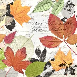 29973-240-Duni-Tissue-Servietten-33-x-33-cm-Herbarium-3-lagig.jpg 29973-240-Duni-Tissue-Servietten-33-x-33-cm-Herbarium-3-lagig.jpg