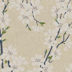 29977-300-Duni-Recycling-Tissue-Servietten-33-x-33-cm-Soft-Nature-2-lagig.jpg 29977-300-Duni-Recycling-Tissue-Servietten-33-x-33-cm-Soft-Nature-2-lagig.jpg