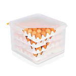 HACCP Eierbox Transportbox