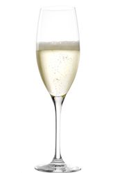 33718-6x-Stoelzle-Lausitz-Classic-Champagnerglas-240-ml-Champagnerkelch_2.jpg 33718-6x-Stoelzle-Lausitz-Classic-Champagnerglas-240-ml-Champagnerkelch_2.jpg