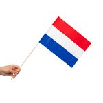 10 Papier Fahnen Niederlande Holland 20 x 30 cm Handfahnen