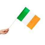 10 Papier Fahnen Irland 20 x 30 cm Handfahnen