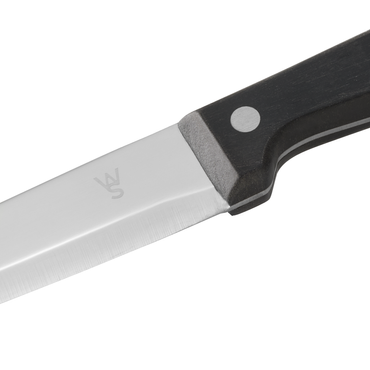18x Steakmesser Set mit POM Kunststoffgriff, 25 cm, Set, Polyoxymethylen, Chromstahl 13/0