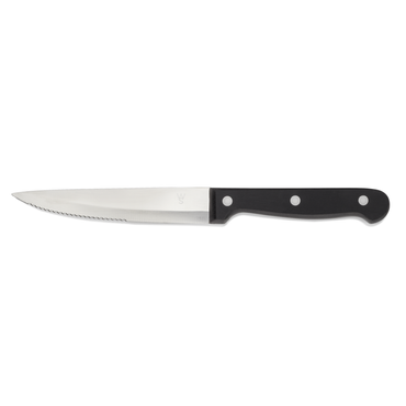 18x Steakmesser Set mit POM Kunststoffgriff, 25 cm, Set, Polyoxymethylen, Chromstahl 13/0