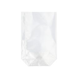 12352_b.jpg 42628-300-Bodenbeutel--PP-15-cm-x-10-cm-x-3-5-cm-transparent.jpg