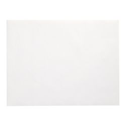 12563_b.jpg 43028-100-Tischsets--Papier-30-cm-x-40-cm-weiss.jpg