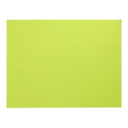 84389_b.jpg 43077-100-Tischsets--Papier-30-cm-x-40-cm-limonengruen.jpg