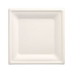 89744_b.jpg 43304-500-Teller--Zuckerrohr--pure--eckig-20-cm-x-20-cm-weiss.jpg