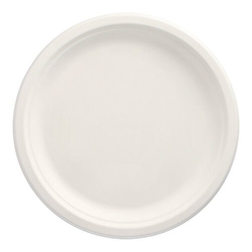 89750_b.jpg 43309-144-Teller--Zuckerrohr--pure--ungeteilt----26-cm----2-cm-weiss.jpg