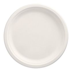 89750_b.jpg 43309-144-Teller--Zuckerrohr--pure--ungeteilt----26-cm----2-cm-weiss.jpg