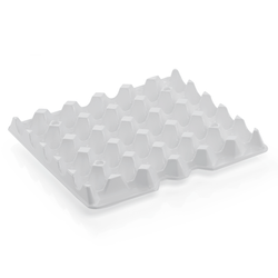 39768-ersatzeinlage-fuer-8623-120--polystyrol-fuer-eieraufbewahrung.png 45398-8x-Ersatzeinlage-fuer-8623-120--Polystyrol-fuer-Eieraufbewahrung.png