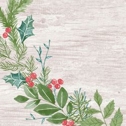 204449.jpg 46382-360x-DUNI-soft---Serviette-40-x-40-cm-Winter-Greenery.jpg