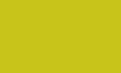 204859.jpg 46517-100x-DUNI-Bio-Dunicel---Mitteldecke-84-x-84-cm-Kiwi.jpg