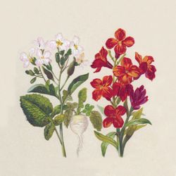 192791.jpg 46536-300x-PAPER---DESIGN-Recycling-Tissue-Serviette-33-x-33-cm-Botanical-2-lagig.jpg
