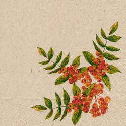 192805.jpg 46540-300x-PAPER---DESIGN-Recycling-Tissue-Serviette-33-x-33-cm-Rowan-Berry-2-lagig.jpg