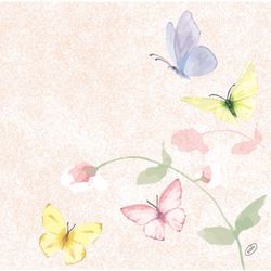 208804.jpg 46657-144x-DUNI-Bio-Dunisoft---Serviette-40-x-40-cm-Sweet-Peach.jpg