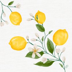 223730.jpg 47002-360x-DUNI-Bio-Dunisoft---Serviette-40-x-40-cm-Lemon-Fiesta.jpg