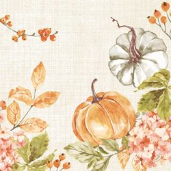 211478.jpg 47004-360x-DUNI-Bio-Dunisoft---Serviette-40-x-40-cm-Spicy-Pumpkin.jpg