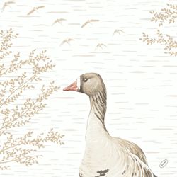 204424.jpg 47011-360x-DUNI-Bio-Dunisoft---Serviette-40-x-40-cm-Wood-und-Goose.jpg