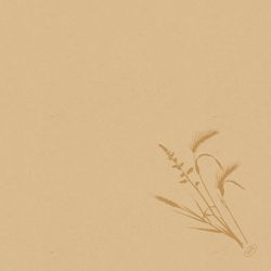 210378.jpg 47016-360x-DUNI-Bio-Dunisoft---Serviette-40-x-40-cm-Meadow-Natural.jpg